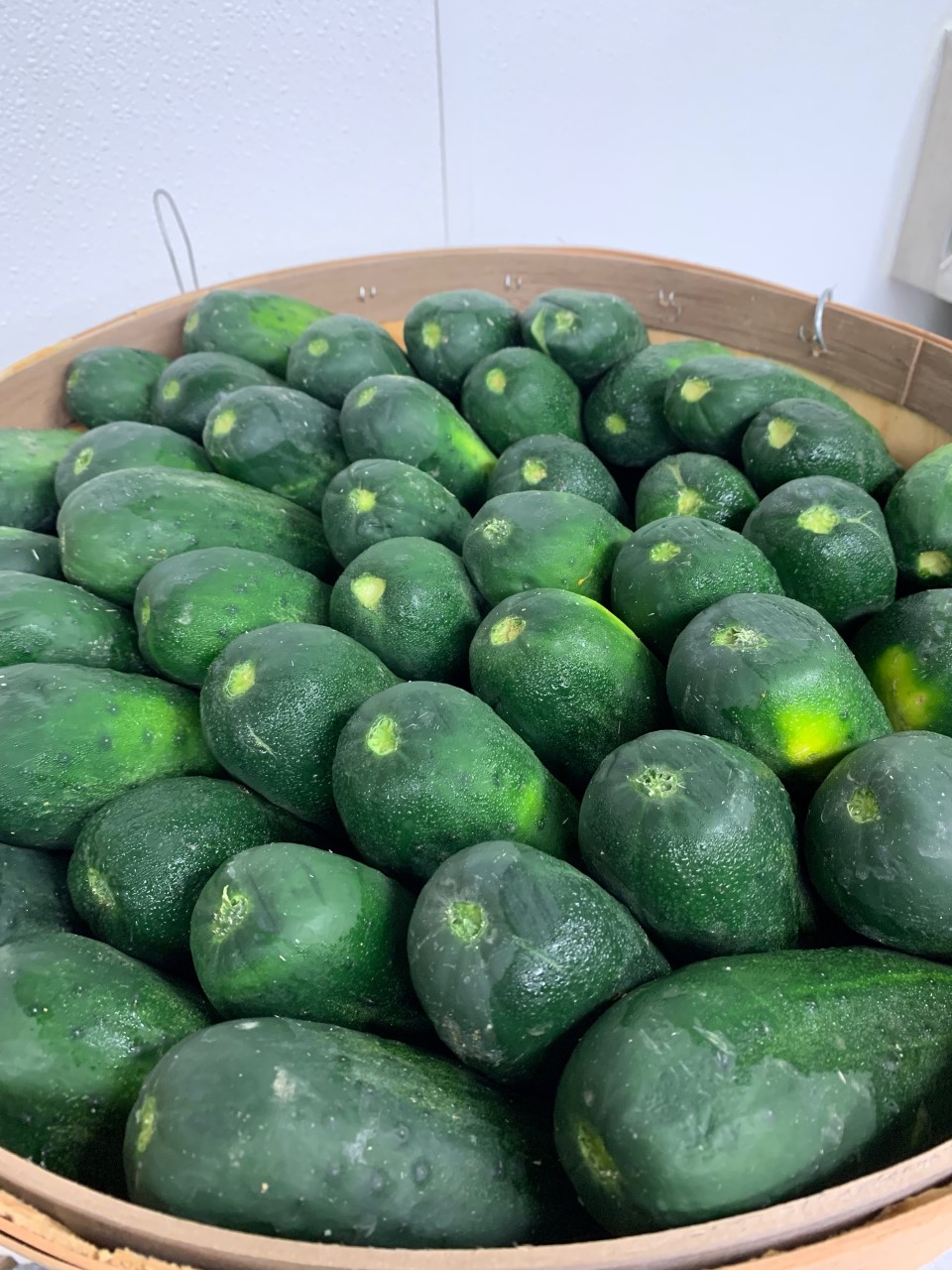 Fresh Pickles